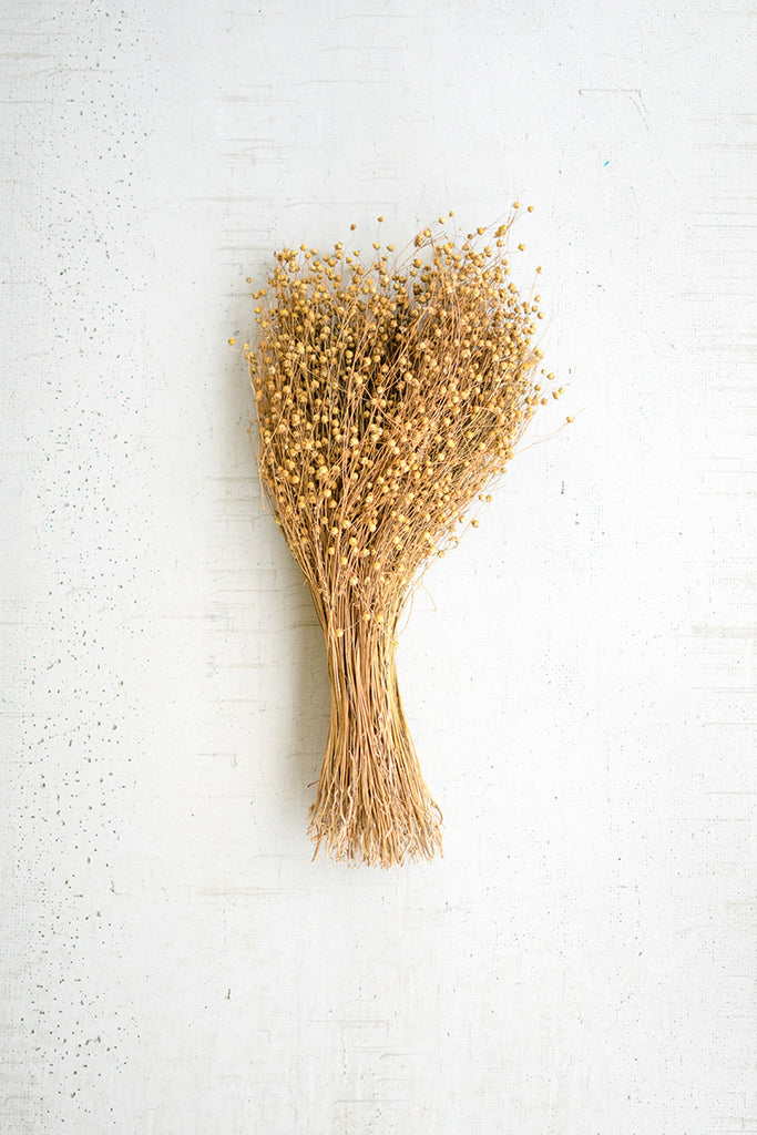 Bundle of natural lino stems - The Nifty Decor