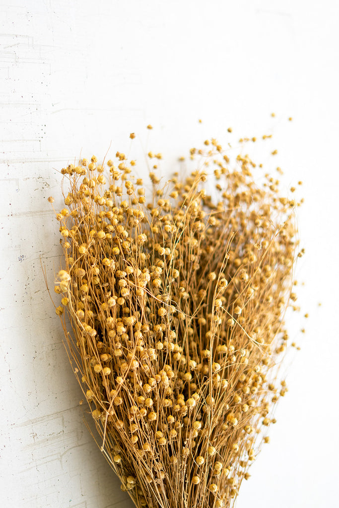 Bundle of natural lino stems - The Nifty Decor