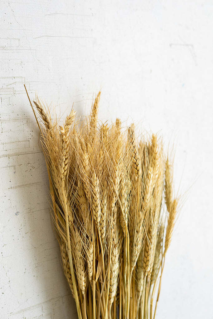 Natural wheat stems - The Nifty Decor