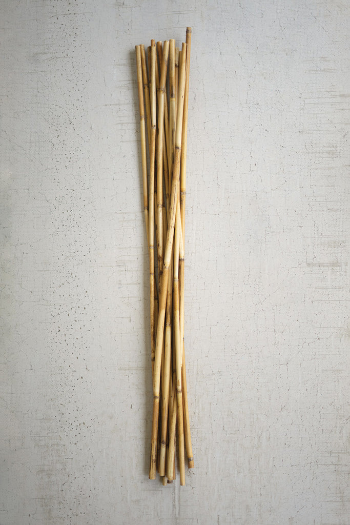 Bundle of 12 bamboo sticks - Bombay Mercantile