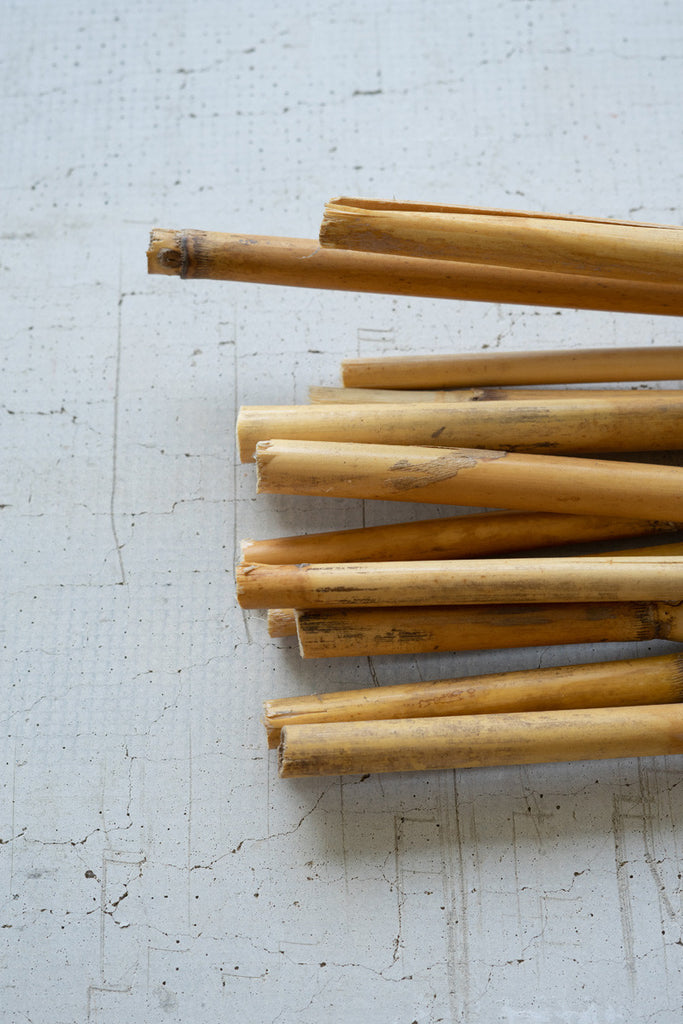 Bundle of 12 bamboo sticks - Bombay Mercantile