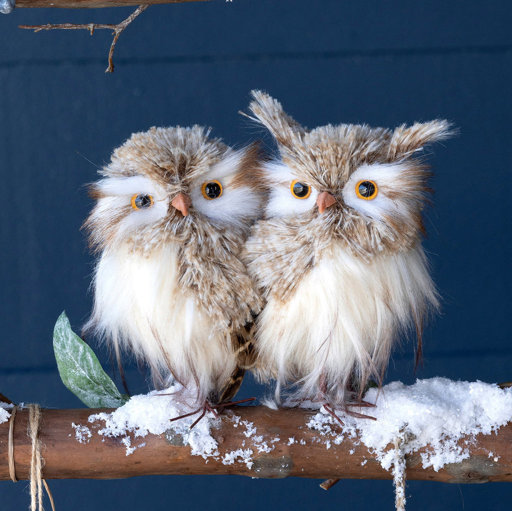Feathered Horned Owl - Bombay Mercantile