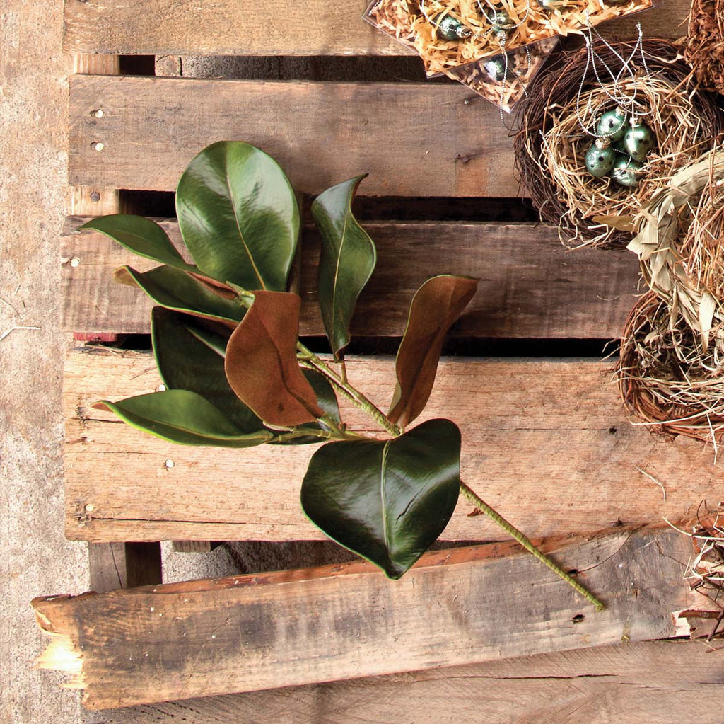 Plantation Magnolia Stem - Bombay Mercantile