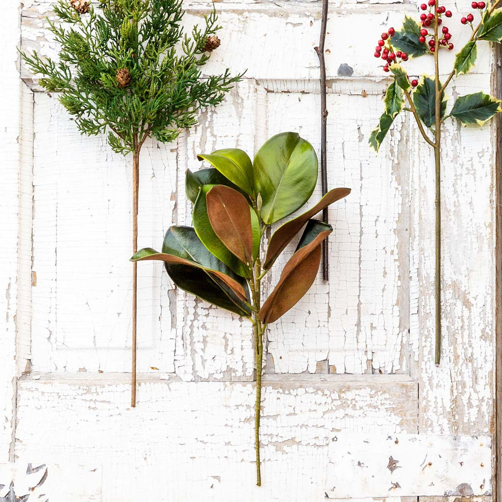 Plantation Magnolia Stem - Bombay Mercantile