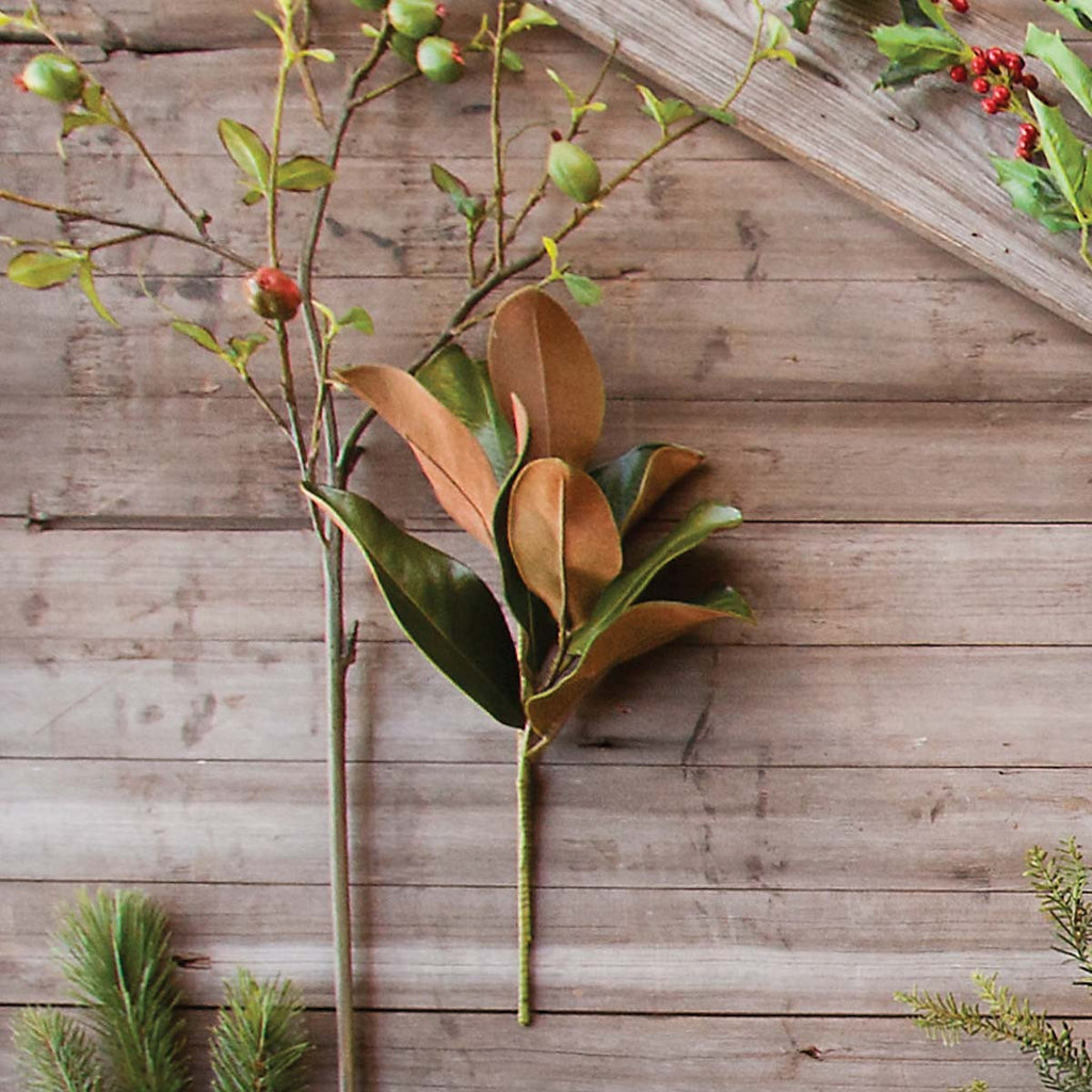 Plantation Magnolia Stem - Bombay Mercantile
