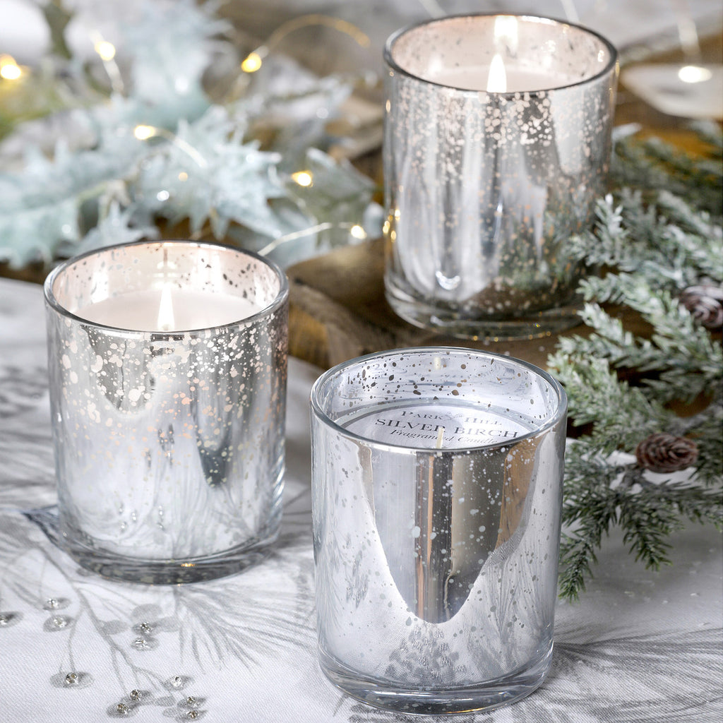 Silver Birch Limited Candle - Bombay Mercantile