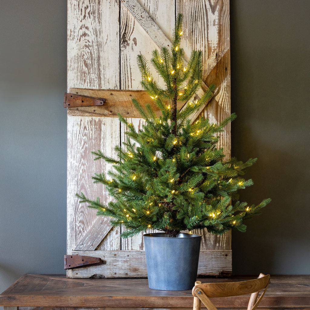 Potted Porch Fir Tree, Lighted - Bombay Mercantile