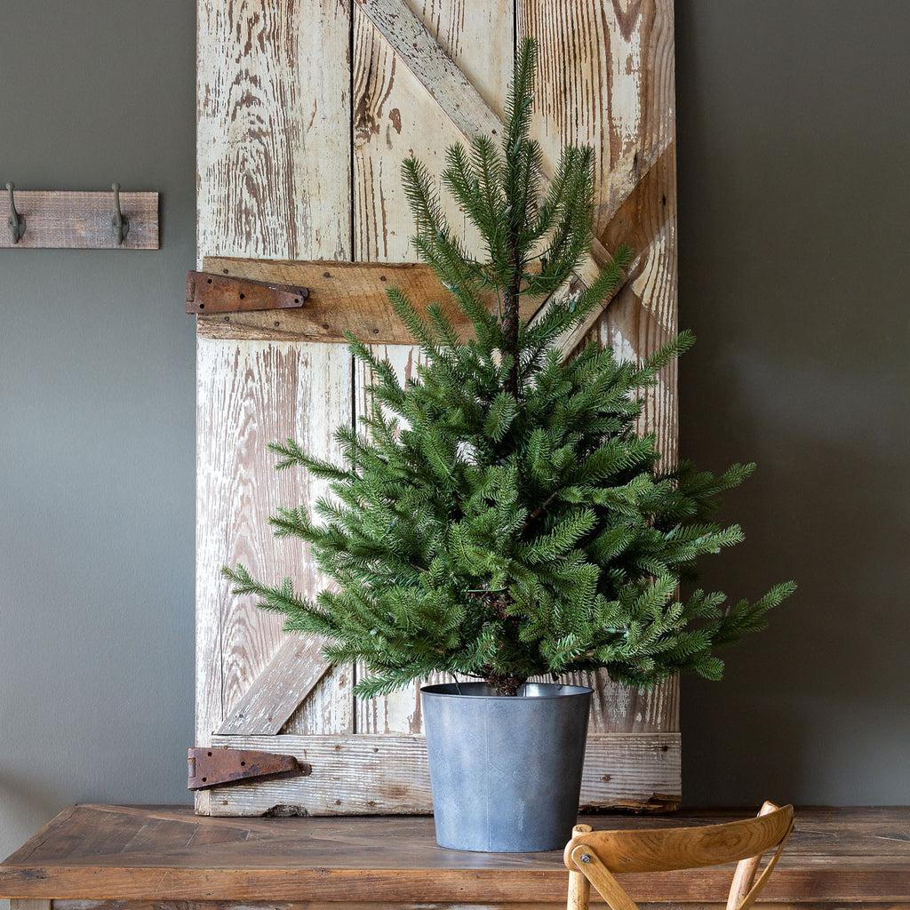 Potted Porch Fir Tree, Lighted - Bombay Mercantile