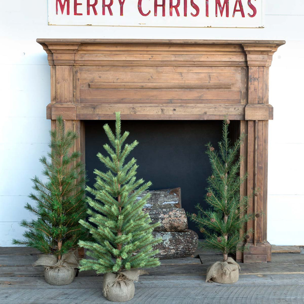 Second-Year Faux Seedling Trees - Bombay Mercantile