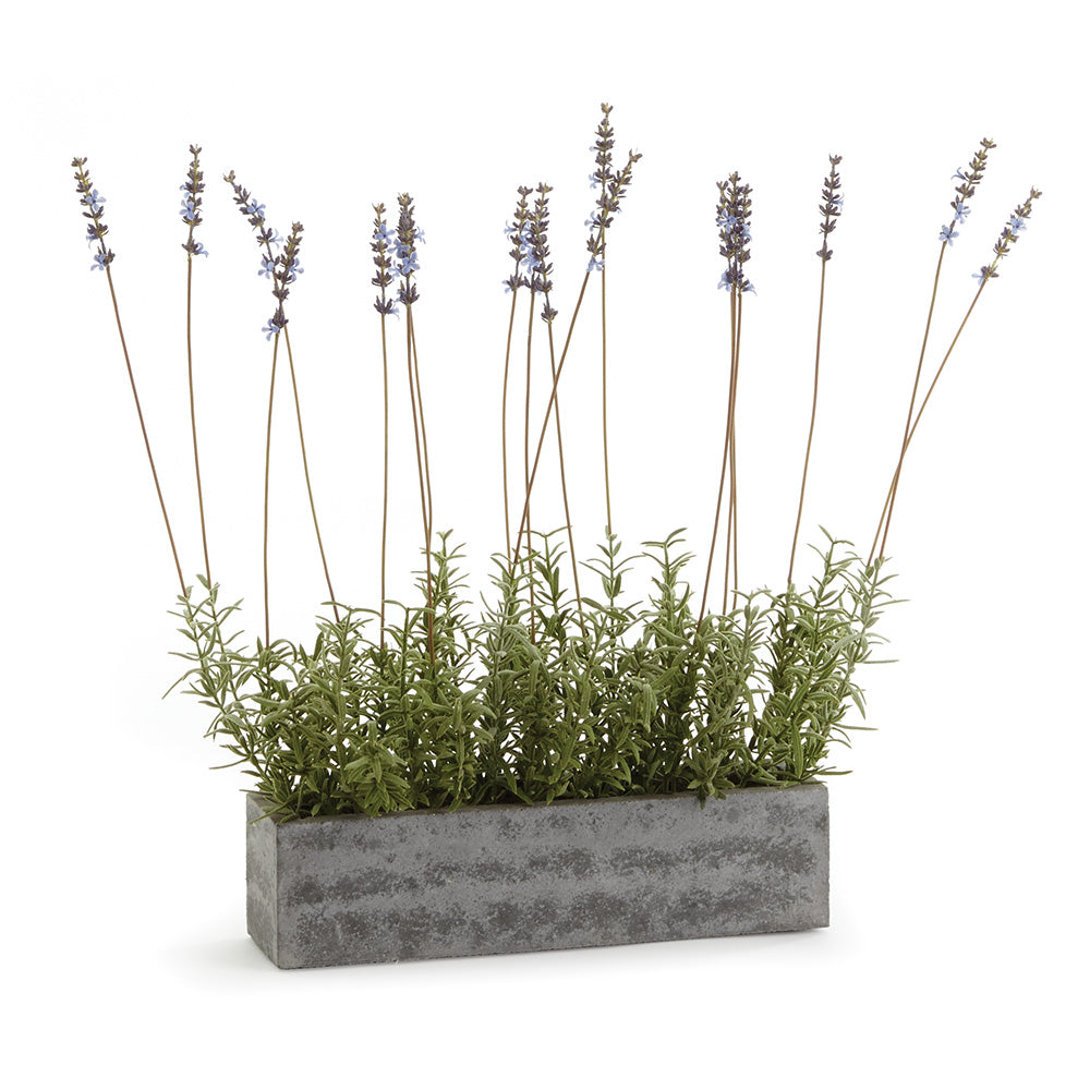 FRENCH LAVENDER IN TROUGH 19" - The Nifty Decor