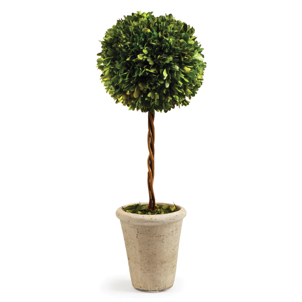 BOXWOOD SINGLE SPHERE TOPIARY 23.25" - The Nifty Decor