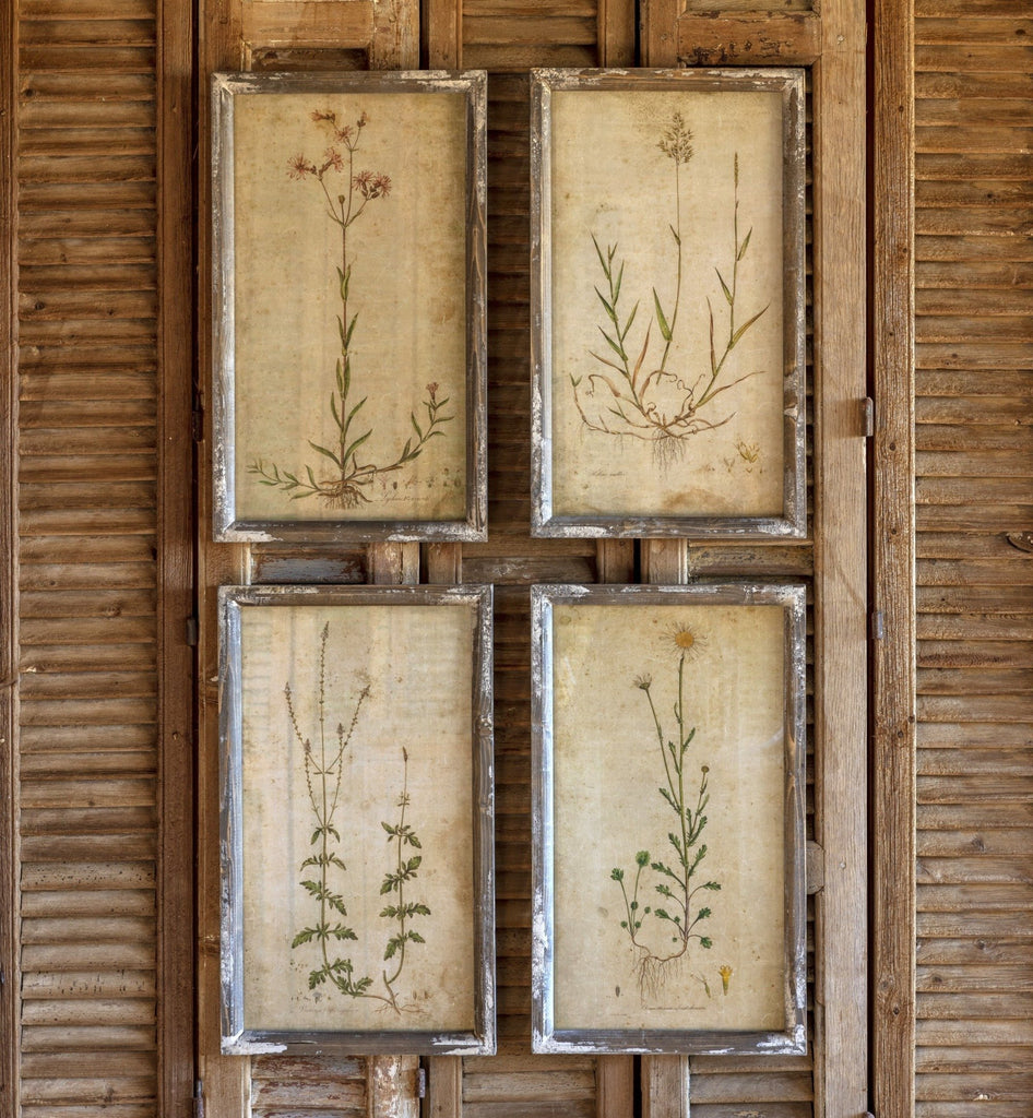 Field Flower Botanical Prints Set Of 4 - Bombay Mercantile
